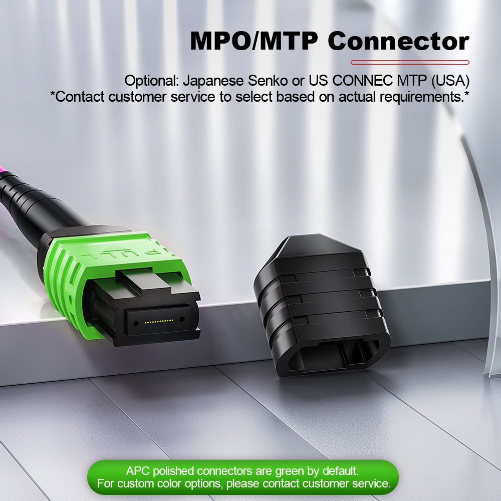 AMPCOM MPO Trunk Cable, MPO-24 APC (Female) to MPO-24 APC (Female), 24 Fibers, Multimode (OM4), LSZH/Riser, 0.35dB Max, Magenta