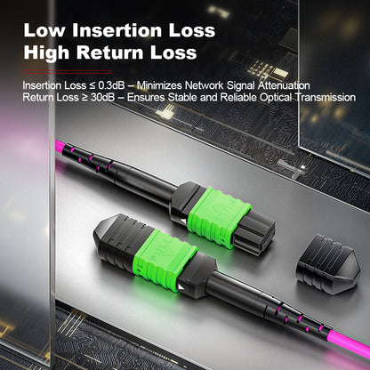 AMPCOM MPO Trunk Cable, MPO-24 APC (Female) to MPO-24 APC (Female), 24 Fibers, Multimode (OM4), LSZH/Riser, 0.35dB Max, Magenta